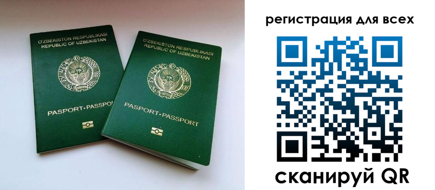 найти адрес прописки в Мурманске